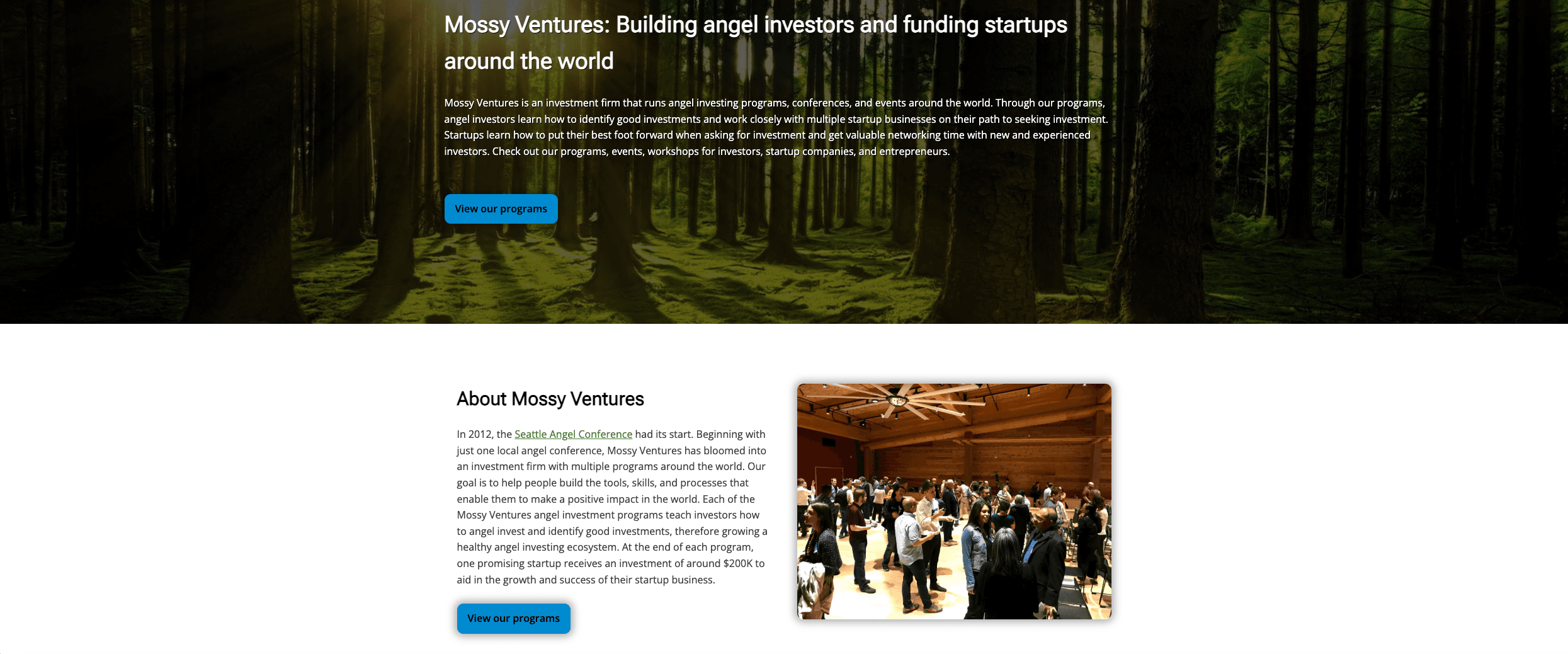 Mossy Ventures website