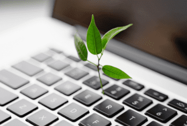 Plant growing on a laptop