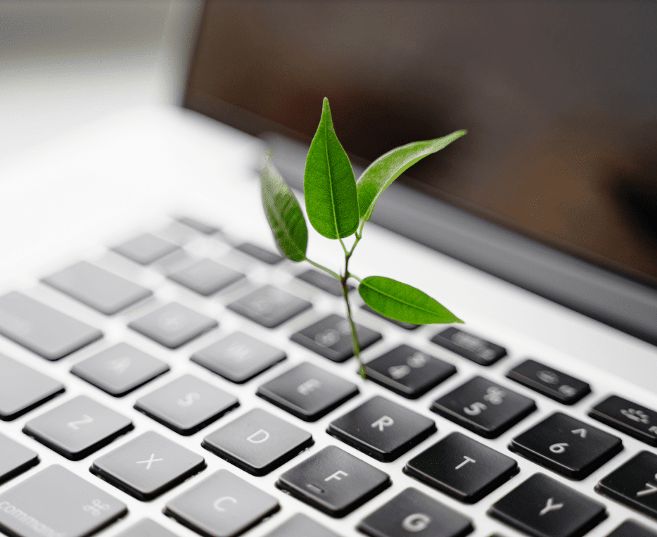 Plant growing on a laptop