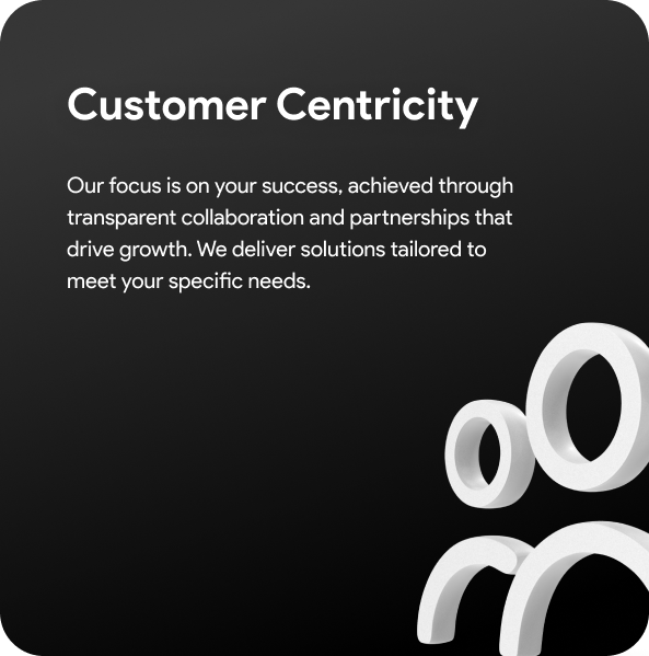 Customer Centricity