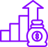 Income Sales Raised